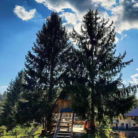 Zen Among The Trees Casa de Férias Stahovica