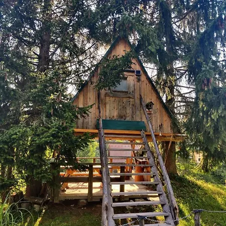 Zen Among The Trees Casa de Férias
