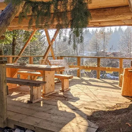 Zen Among The Trees * Stahovica