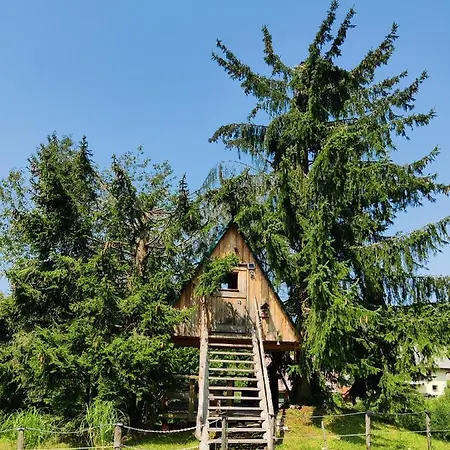 Zen Among The Trees Holiday home *