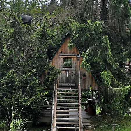 Zen Among The Trees *