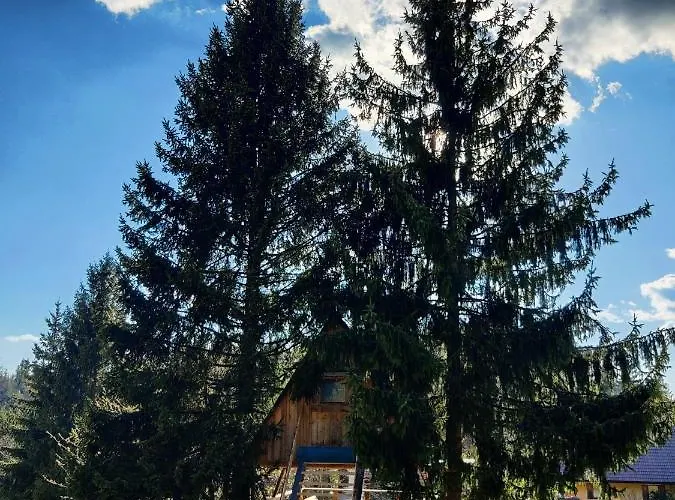 Zen Among The Trees Casa vacanze Stahovica