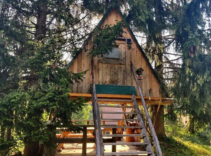 Zen Among The Trees Casa vacanze