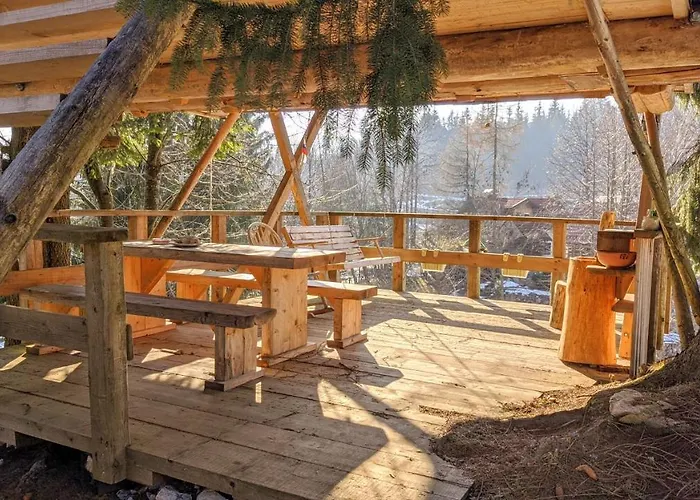 Zen Among The Trees * Stahovica