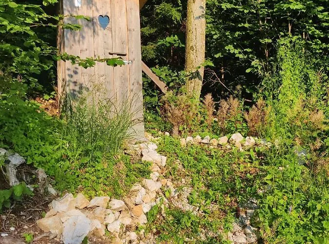 Zen Among The Trees *