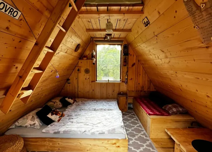 Zen Among The Trees Stahovica